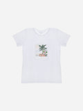 pap/tsh4033668 -  - patachou
