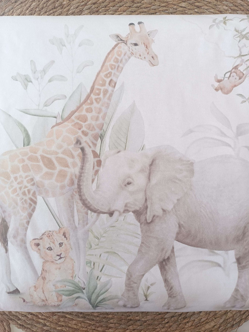 kolderka sawana -  - first baby