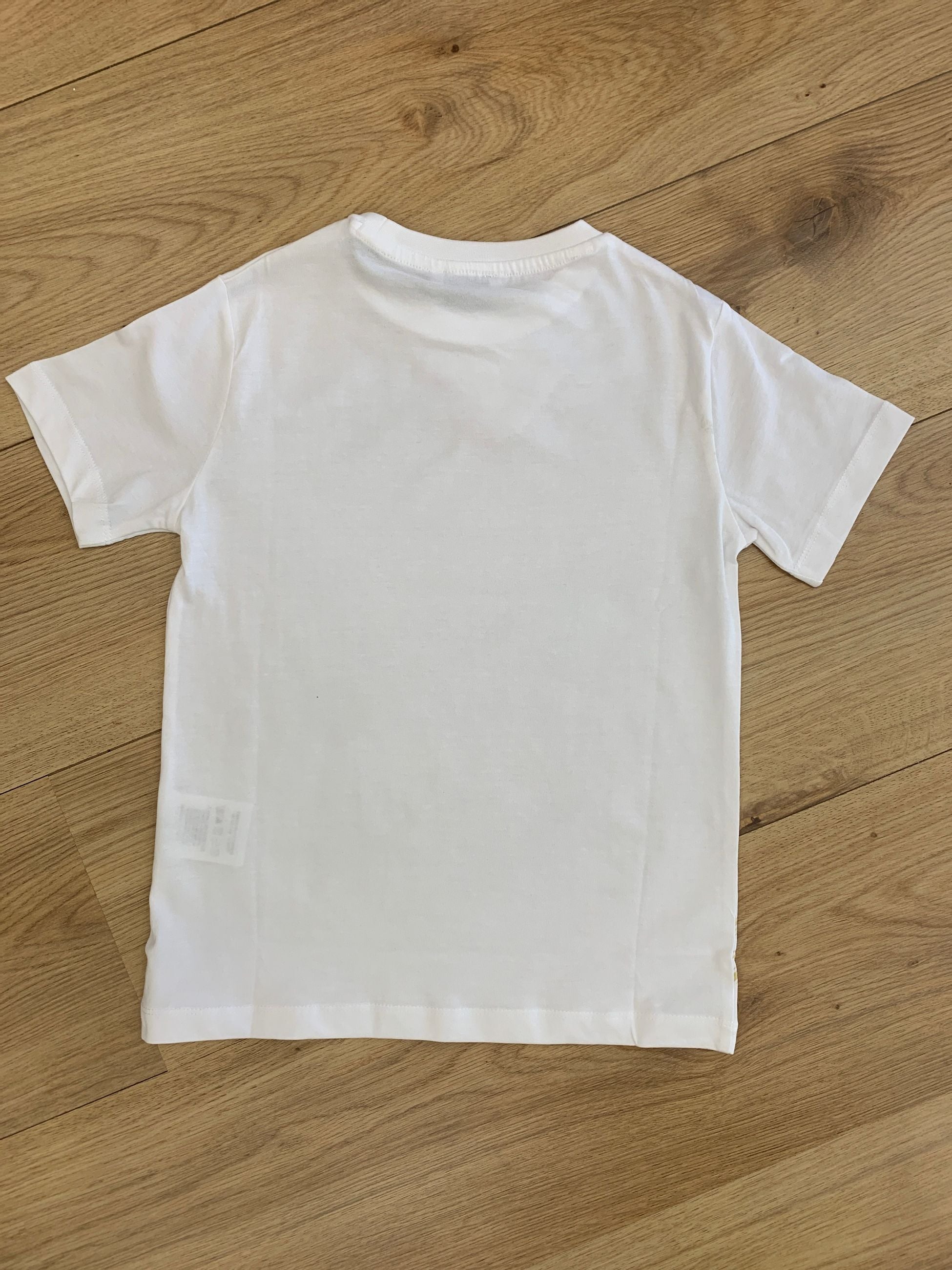 TSP6113B - t-shirt - PACIOTTI