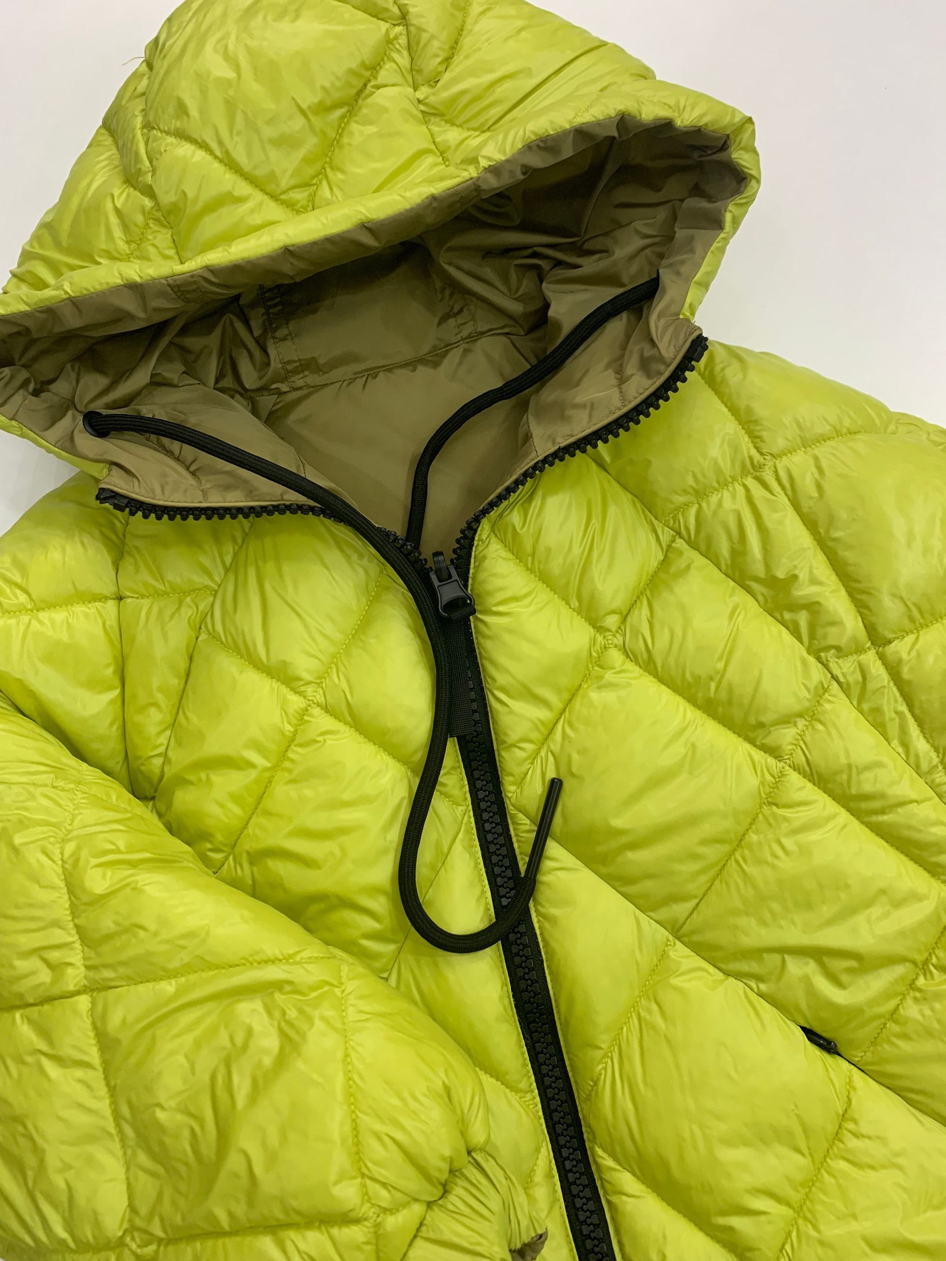 fw475121 -  - MONTEREGGI