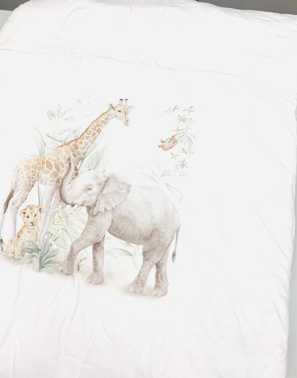 kolderka sawana -  - first baby