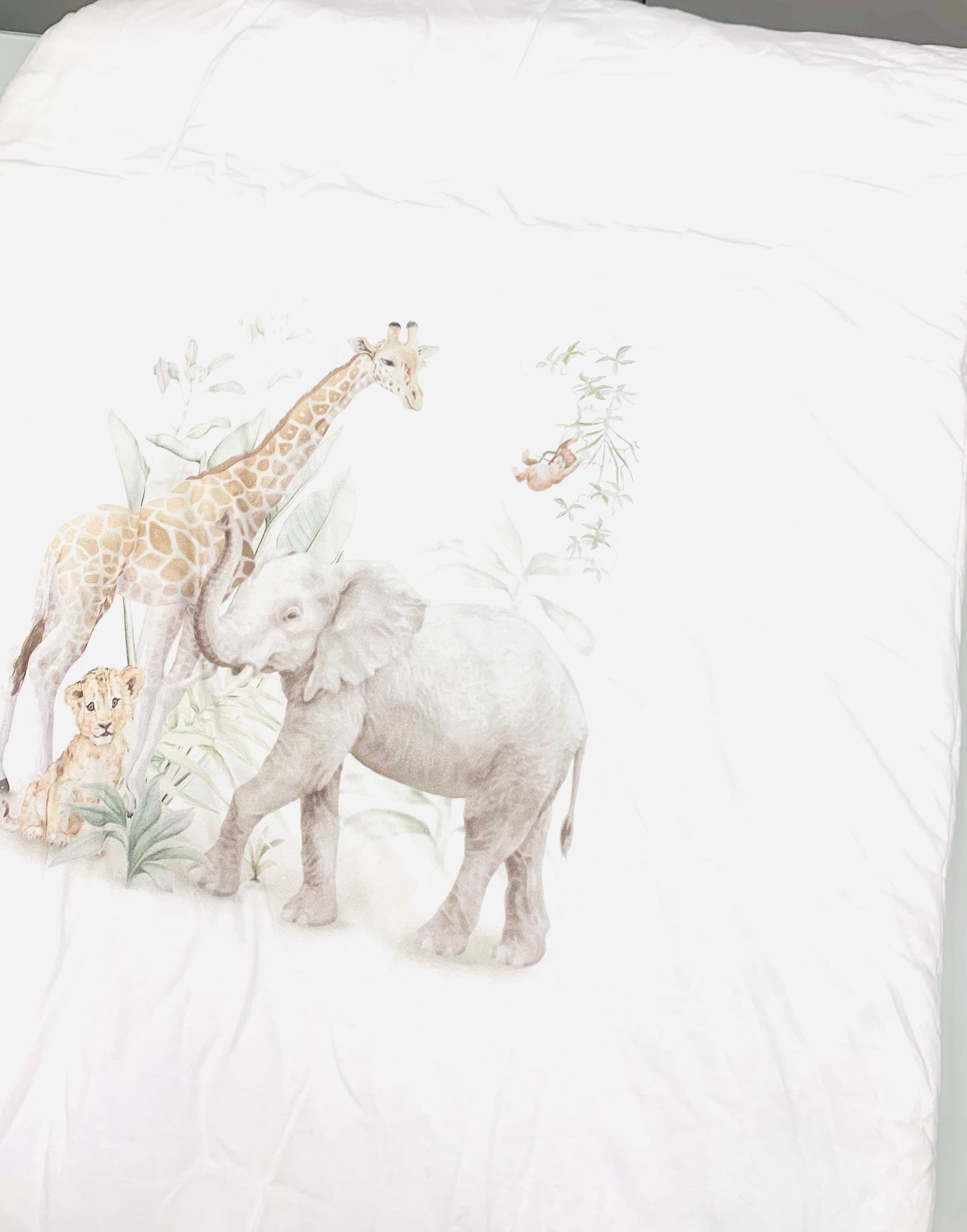 kolderka sawana -  - first baby