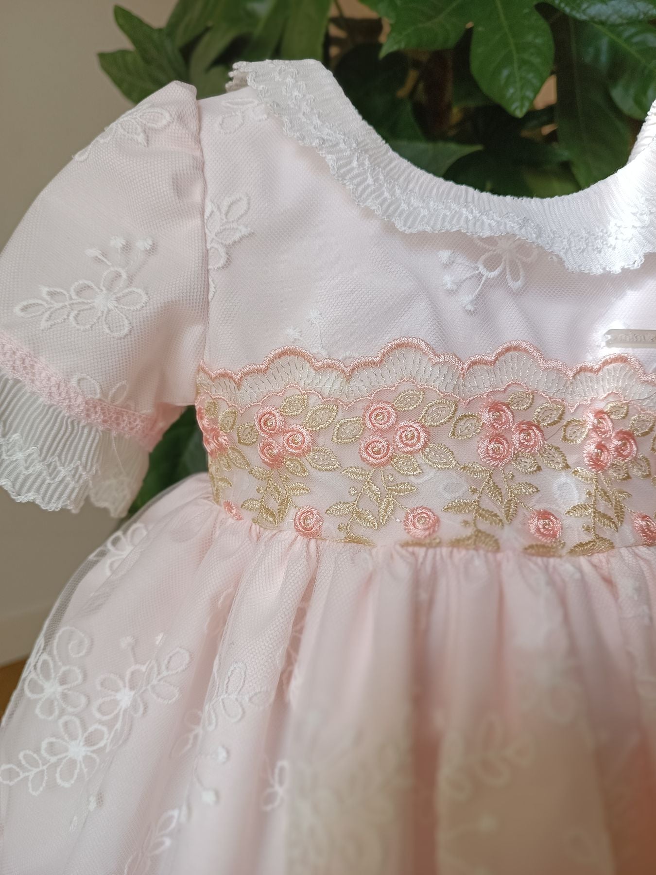 1005 - Accessori - mimosa