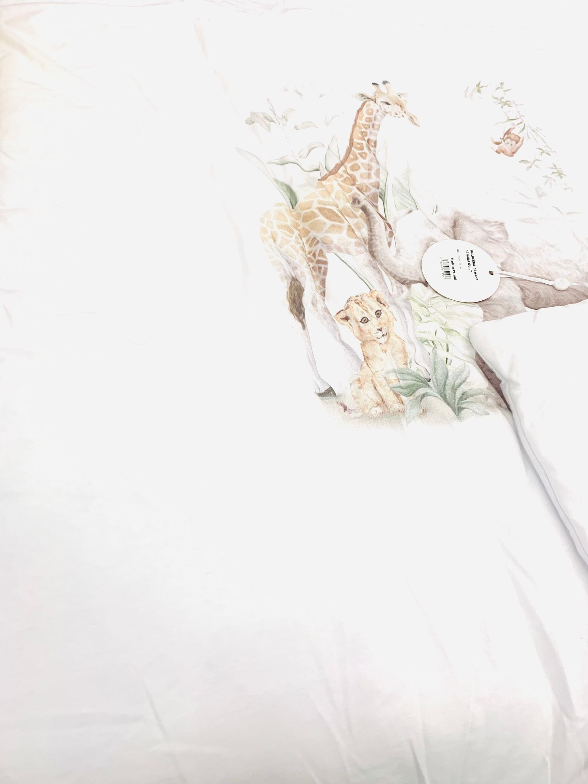kolderka sawana -  - first baby