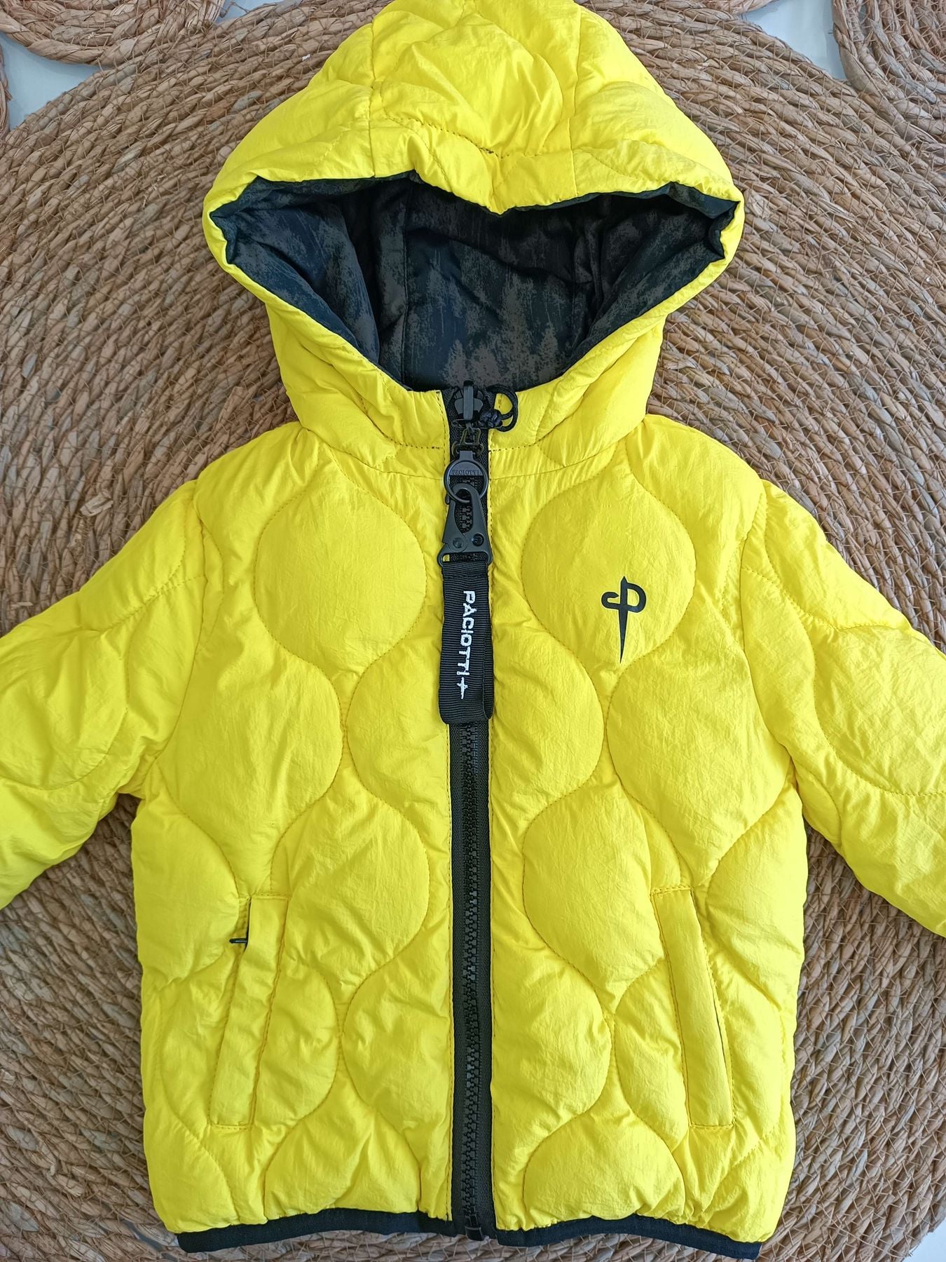gbp3221b -  - PACIOTTI